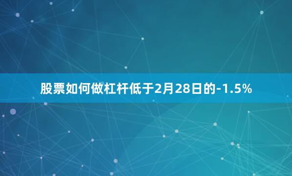 股票如何做杠杆低于2月28日的-1.5%