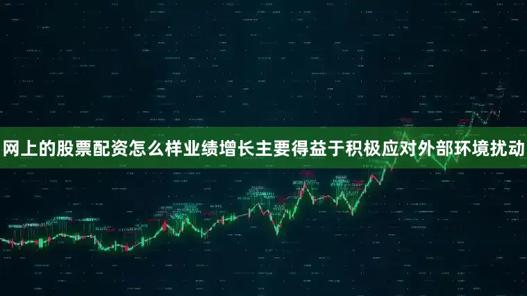 网上的股票配资怎么样业绩增长主要得益于积极应对外部环境扰动