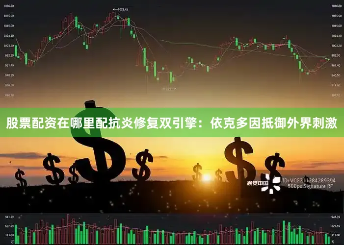 股票配资在哪里配抗炎修复双引擎：依克多因抵御外界刺激